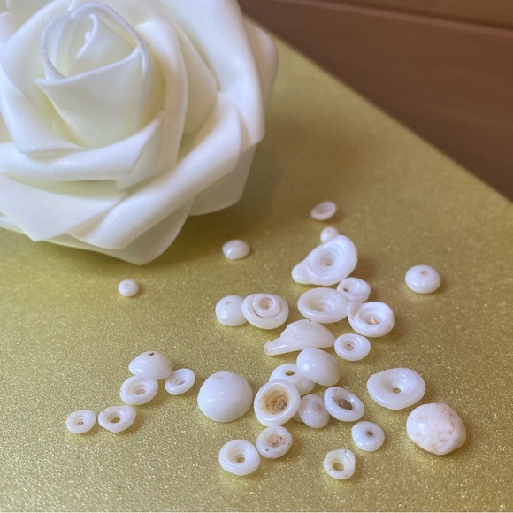 🐚🐚 Puka Shells from Maui. *authentic - Picture 2 of 4